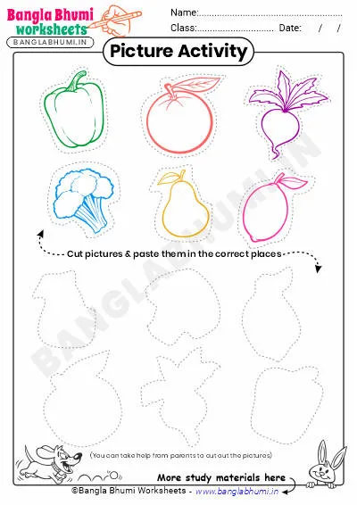 Free Cut and Paste Activity Worksheets 2025 PDF Download