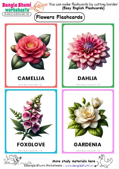 Best 40+ Flowers Flashcards 2025 PDF Download