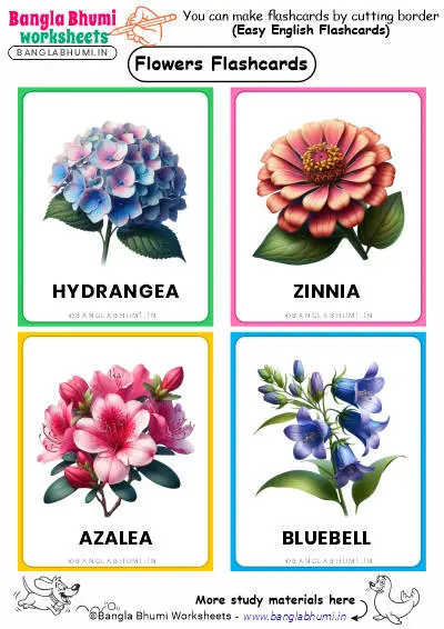 Free 40+ Flowers Flashcards 2025 PDF