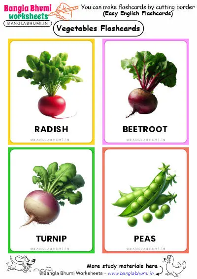 Free 44+ Vegetables Flashcards 2025 PDF